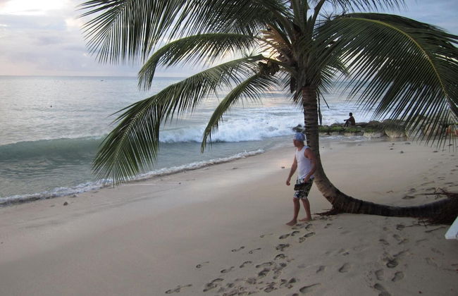 Tropical Sunset Beach Apartment Hotel - Foto 35