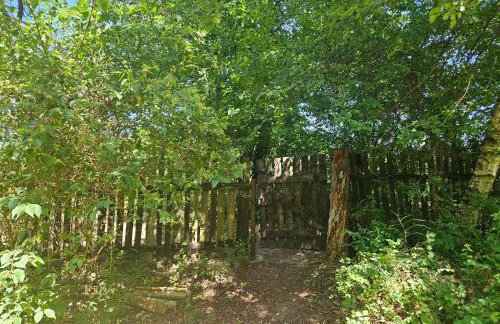 Dom z linią brzegową Narwi - Photo 23