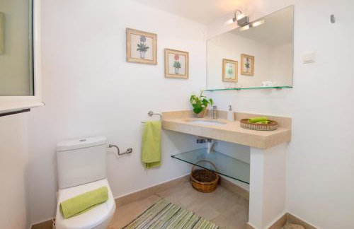 Bougainvillea - Foto 18