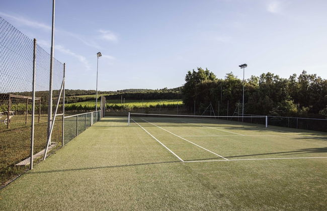 Podere Brizio - Foto 20