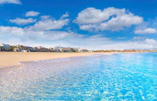 Ruzafa experience Oceanografic ciencias - Photo 24