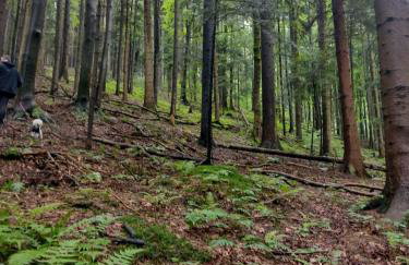 Mucharskie Stodoły Stodoła II - Garden Spa - Foto 31