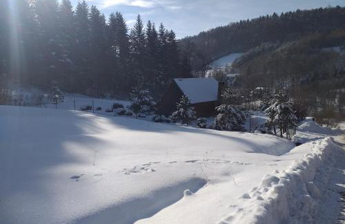 Domek za lasem - Photo 3