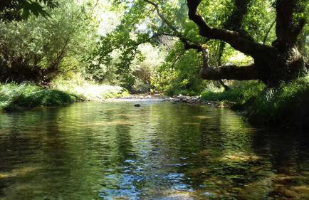 Andrea Sofi Guesthouse - Photo 12