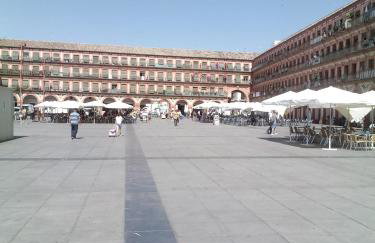 Lineros 24 - Foto 23