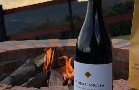 Vale Encantado Alfredo Wagner - Photo 17