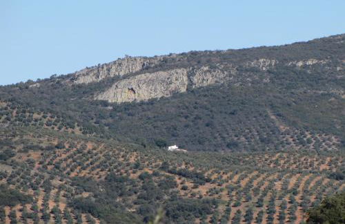 Cortijo "Era Grande 2" - Foto 40
