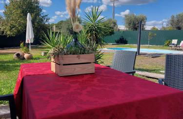 Casas Zé Pinto - Foto 28