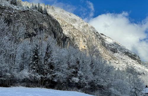 Appartement cosy proche Châtel Portes du soleil - linge inclus - Foto 15