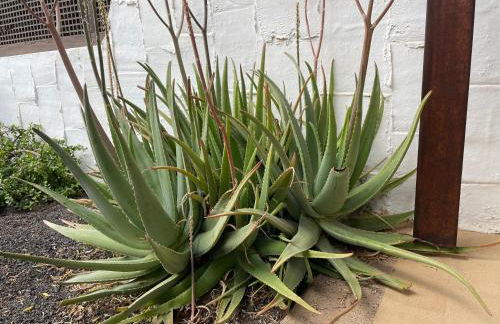 Parque Holandés Fuerteventura casa Mayte - Foto 5
