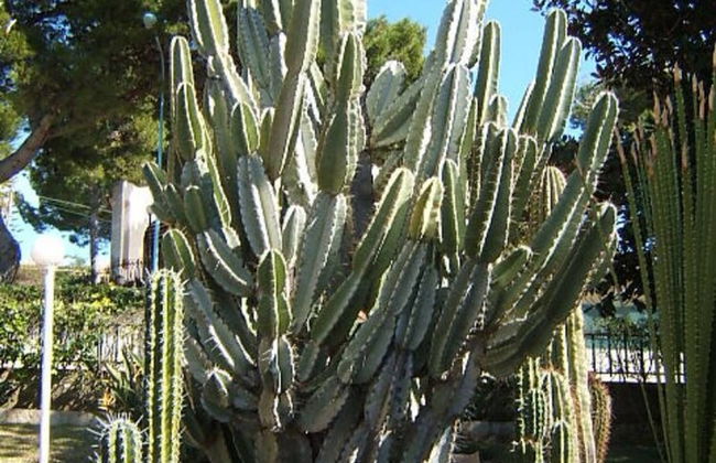 Trilocale In Villa Con Piscina - Clima E Wi-fi - Photo 24