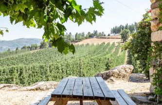 Casa do Feitor - Douro - Quinta da Cabrida - Foto 43