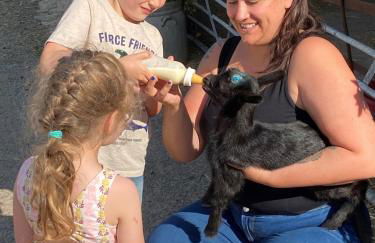 Bluebells Farmstay - Foto 25