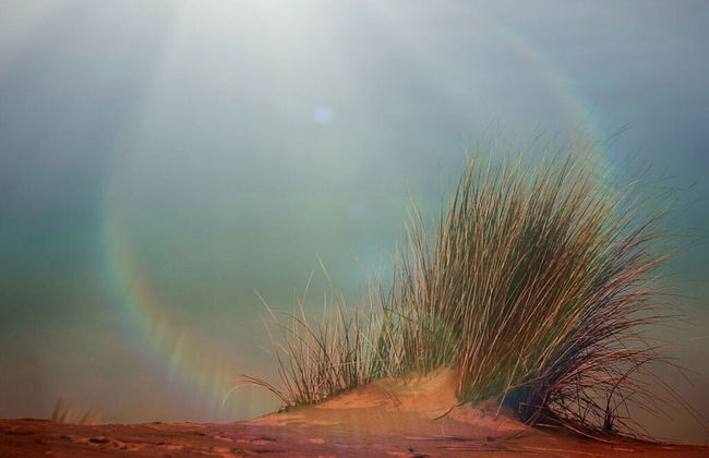 3 at House "pop" - Foto 14