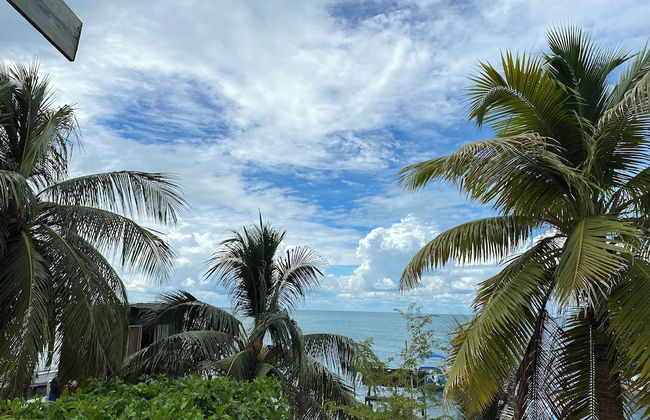 ZNA Beach House - Foto 24