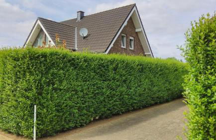 Ferienhaus-Kalkar - Foto 37