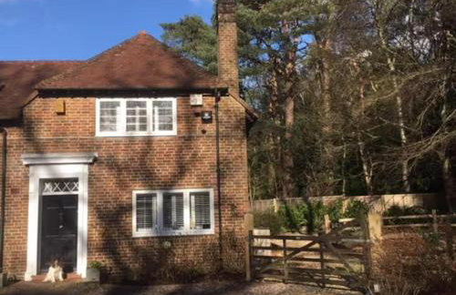 Rogate Cottage Retreat - Foto 2