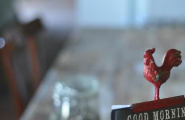 Agriturismo La Forestaria - Foto 58