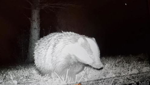 The Old Coach House at Stewton - Foto 5