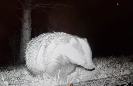 The Old Coach House at Stewton - Foto 5