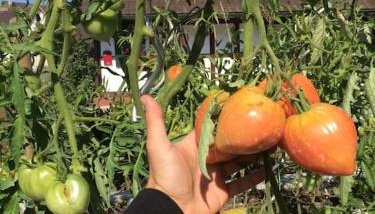 Privat Apartment- Near Strasbourg, Baden Baden - Foto 3