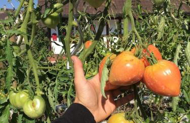 Privat Apartment- Near Strasbourg, Baden Baden - Foto 3