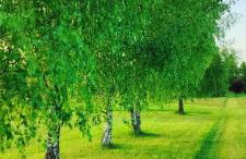 Nad Wigrami Agroturystyka Tarasiewicz - Foto 73