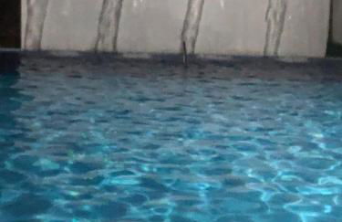 AP do LAGO, com Churrasqueira privativa , cozinha , internet no ap, rampa barco e jet, pesqueiro - B101 - Foto 79