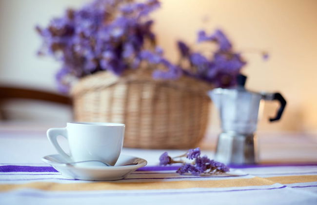 Corte San Mattia - Agriturismo in Verona - Photo 49