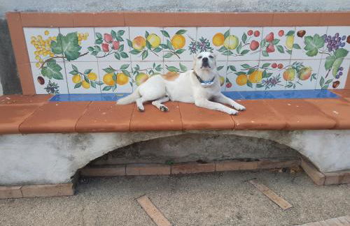 Casa Mamma Mia - Foto 4