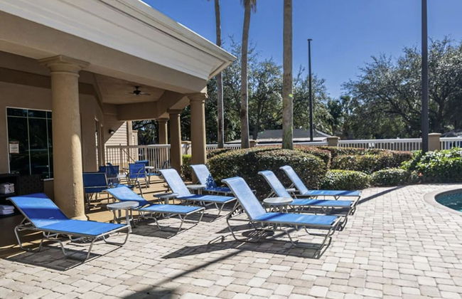 Free Shuttle 2 Queen Disney Area - Foto 41