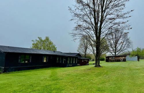 Purple Parrot - Foto 27