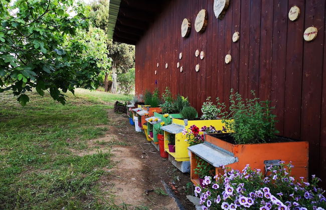 Su Leunaxiu - Foto 69