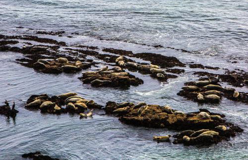 Private Home with Breathtaking Ocean Views - walk to Beaches Restaurants - Foto 29