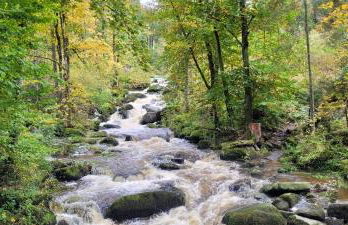 Ferienwohnung Bayerwaldblick - Foto 48