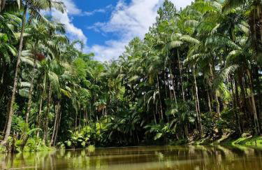 Chalé a 500 metros do Pico Malwee - Foto 16