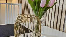 FeWo Haus Emma OG - Photo 4