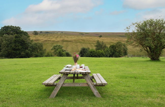 Brown Rigg Lodges - Photo 33