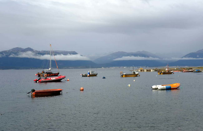 Puerto Almanza Trip - Photo 4