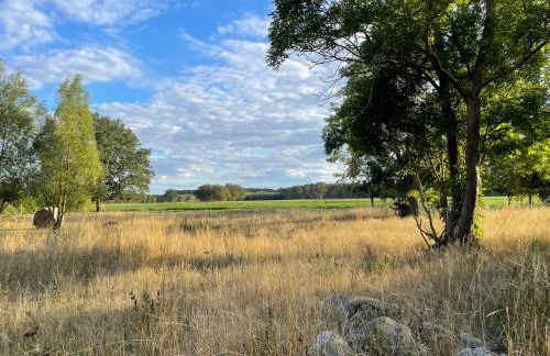 Exclusive Apartments Harpe - Foto 21