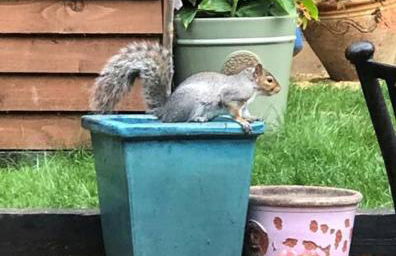 The Studio on The Green - Foto 6