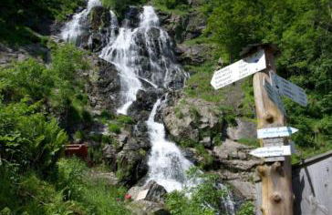 Grüner Wohnen im Alten Schulhaus - Foto 27