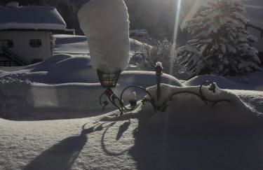 Hafnerlehen - Foto 4