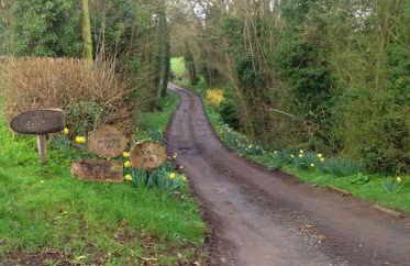 Long Cover Cottage - Foto 20