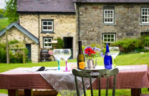 Nantgwynfaen Organic Farm Wales - Photo 33