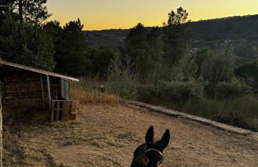 Casa da Aldeia - Exclusive Upper Floor with 3 Bedrooms and Private Pool - Foto 37