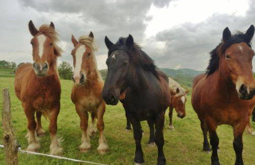 Casa Rural Aldekoa - Foto 35