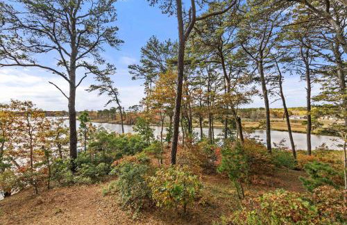 Waterfront on Swan Pond with Kayaks - Photo 31