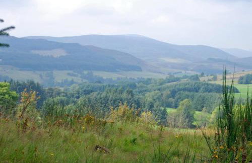 5 Bed in Blairgowrie oc-ca409 - Foto 39