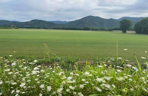 Caterina Appartamento Vacanze - Foto 34